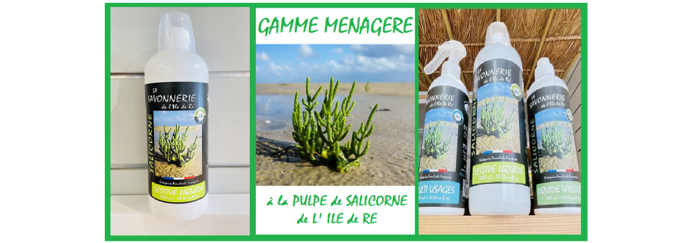 PRODUITS MENAGERS --- L E S S I V E ---