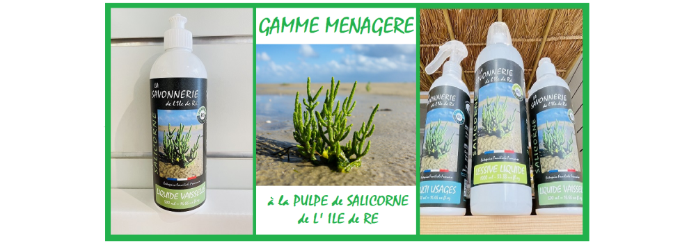 PRODUITS MENAGERS --- LIQUIDE VAISSELLE ---