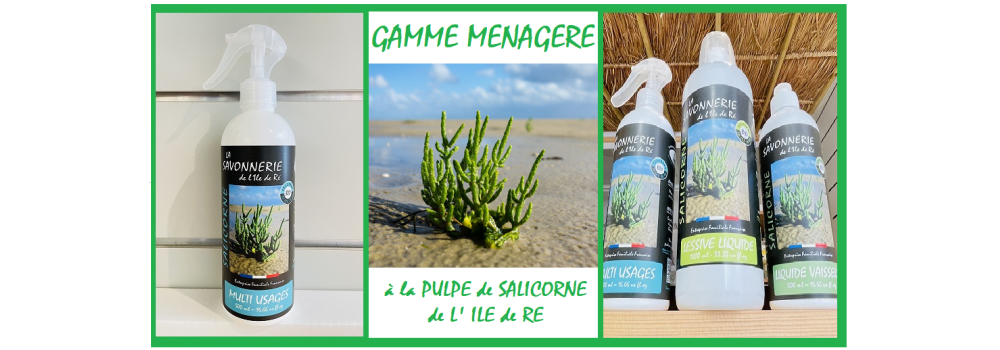 PRODUITS MENAGERS --- MULTI-USAGE ---